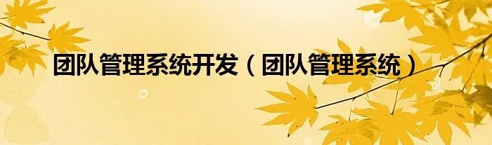 团队管理系统开发（团队管理系统）