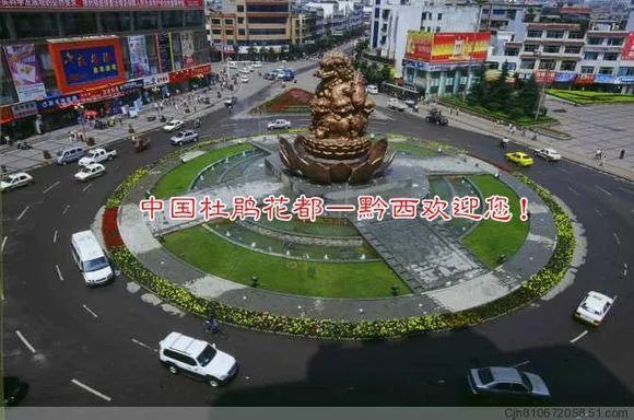 你知道中国百里杜鹃花都在哪里吗?