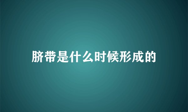 脐带是什么时候形成的
