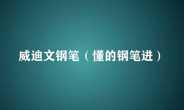 威迪文钢笔（懂的钢笔进）