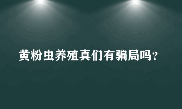 黄粉虫养殖真们有骗局吗?