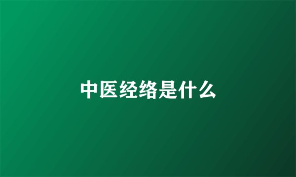 中医经络是什么