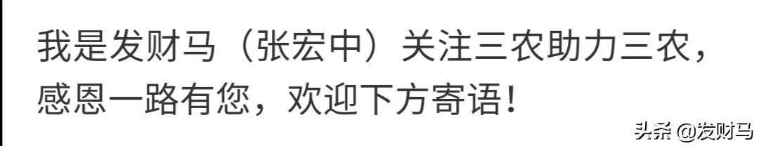幼猪有什么作用