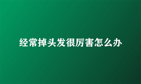 经常掉头发很厉害怎么办