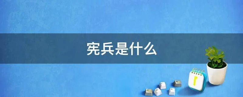 宪兵是什么