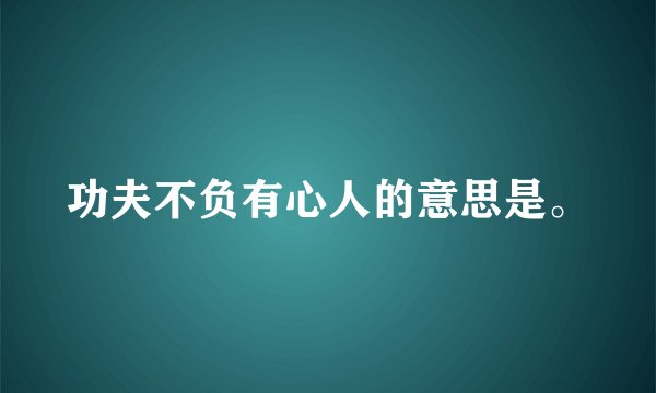 功夫不负有心人的意思是。