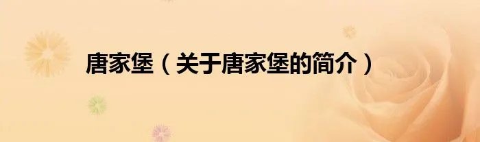 唐家堡（关于唐家堡的简介）