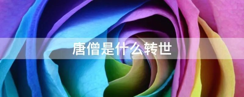 唐僧是什么转世