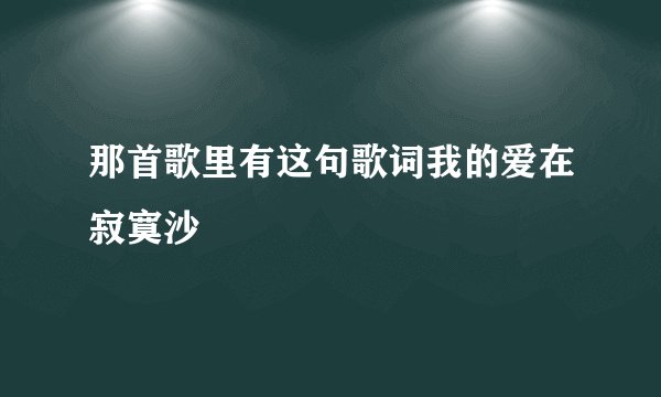那首歌里有这句歌词我的爱在寂寞沙