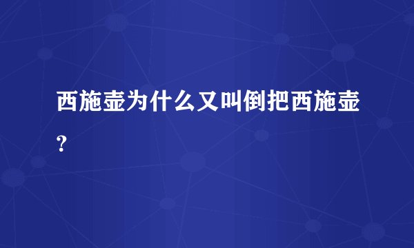 西施壶为什么又叫倒把西施壶?