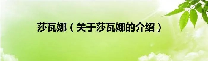 莎瓦娜(关于莎瓦娜的介绍)