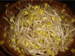 凉拌黄豆芽