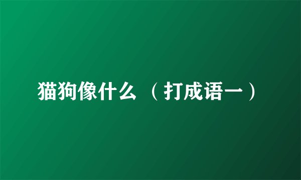 猫狗像什么 （打成语一）
