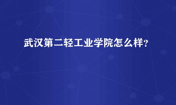 武汉第二轻工业学院怎么样?