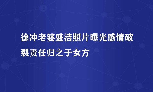 徐冲老婆盛洁照片曝光感情破裂责任归之于女方