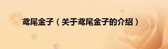 鸢尾金子（关于鸢尾金子的介绍）