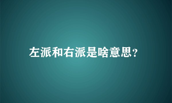 左派和右派是啥意思？