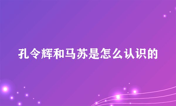 孔令辉和马苏是怎么认识的
