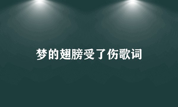 梦的翅膀受了伤歌词