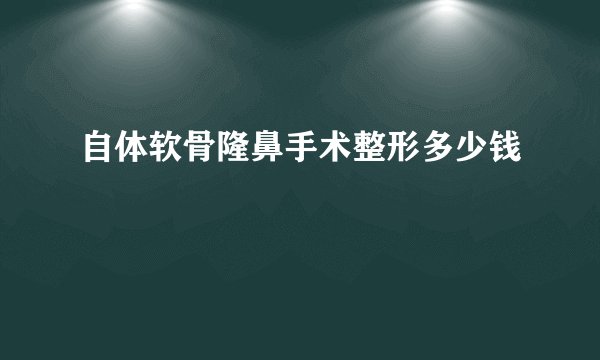 自体软骨隆鼻手术整形多少钱