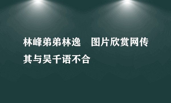 林峰弟弟林逸洺图片欣赏网传其与吴千语不合
