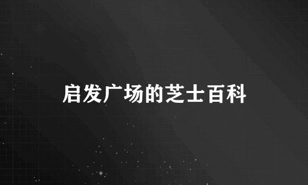 启发广场的芝士百科