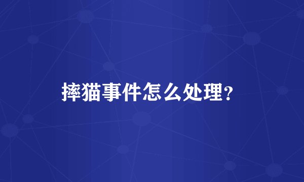 摔猫事件怎么处理？