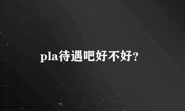 pla待遇吧好不好？