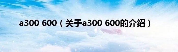 a300 600（关于a300 600的介绍）