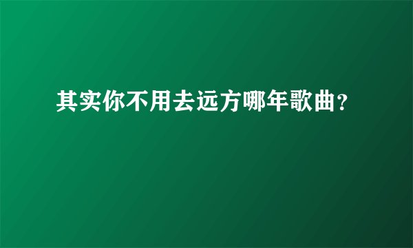 其实你不用去远方哪年歌曲？