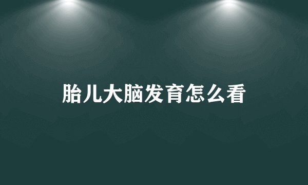 胎儿大脑发育怎么看