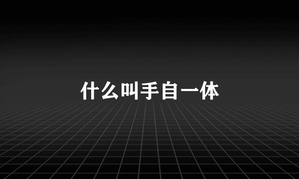 什么叫手自一体