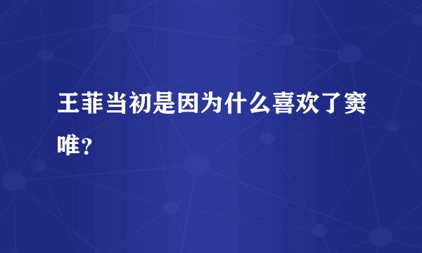 王菲当初是因为什么喜欢了窦唯？