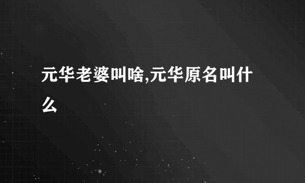元华老婆叫啥,元华原名叫什么
