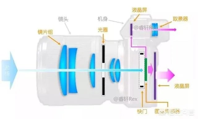 无反，微单，单反有什么区别，如果购买应该买哪种呢？