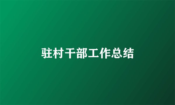 驻村干部工作总结