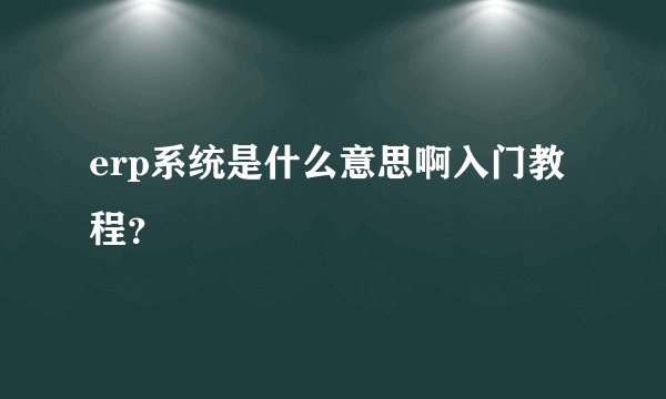 erp系统是什么意思啊入门教程？
