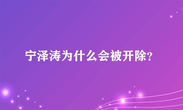 宁泽涛为什么会被开除？
