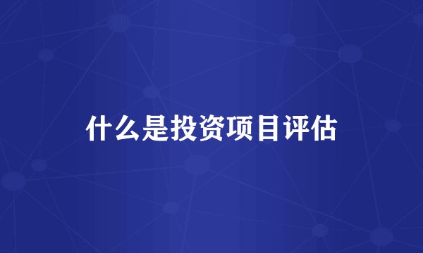 什么是投资项目评估