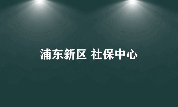 浦东新区 社保中心