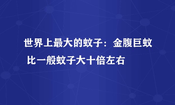 世界上最大的蚊子：金腹巨蚊 比一般蚊子大十倍左右
