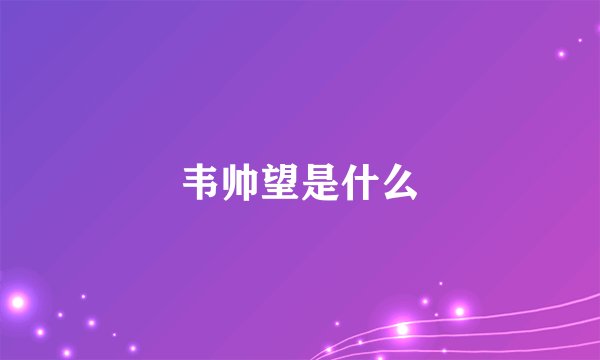 韦帅望是什么