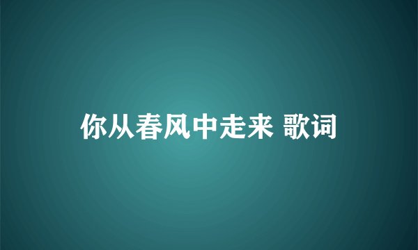 你从春风中走来 歌词
