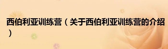 西伯利亚训练营（关于西伯利亚训练营的介绍）
