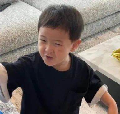 沈腾3岁儿子正面照,沈腾女搭档是谁