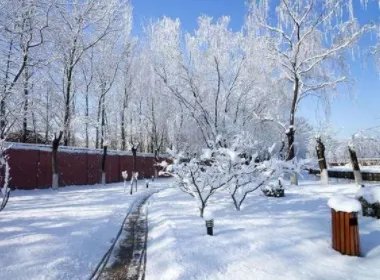 新一轮寒潮来袭,雨雪降温齐上线,具体会波及到哪些地区?