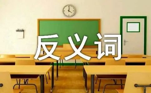 轻蔑的反义词