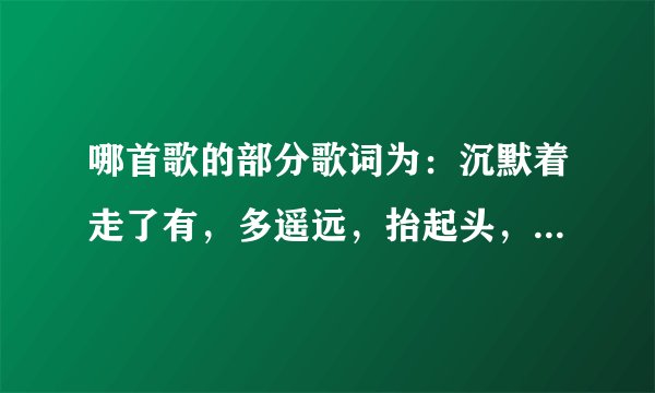 哪首歌的部分歌词为:沉默着走了有,多遥远,抬起头,蓦然间,才发现,一直倒退,倒退到原点,倔强坚持,。。。