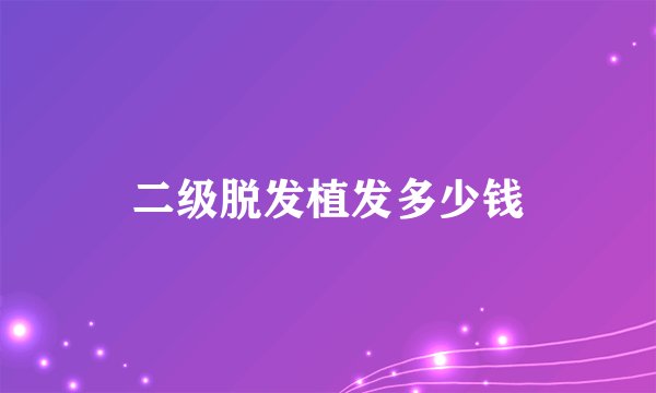 二级脱发植发多少钱
