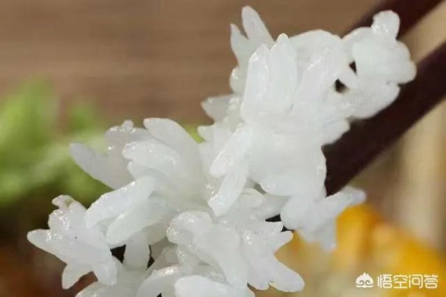 2018年哈尔滨的冰雪大世界什么时候对外开放?
